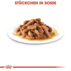 ROYAL CANIN Hunde-Nassfutter »SHN Medium Puppy«, 140 G -Günstiges Tierbedarf Geschäft unnamed file 11980