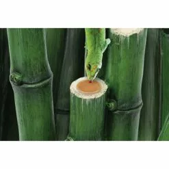 EX Large Bamboo Forest Kit -Günstiges Tierbedarf Geschäft unnamed file 1217