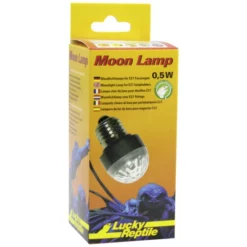 Terrarienbeleuchtung, 2 W