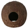 Orbit Aquariendekoration, Kokosnuss M, Kokosfaser, Braun -Günstiges Tierbedarf Geschäft unnamed file 12378