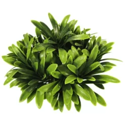 Orbit Aquariendekoration, Grün