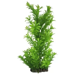 Orbit Aquariendekoration, Grün