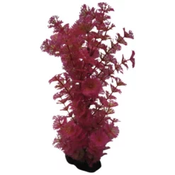 Orbit Aquariendekoration, Rot