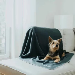 HUNTER Hunde-Decke, BxL: 100 X 140 Cm, Anthrazit -Günstiges Tierbedarf Geschäft unnamed file 12828