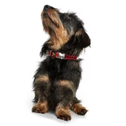 HUNTER Halsung, Gr. L, Rot -Günstiges Tierbedarf Geschäft unnamed file 12875