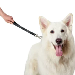 HUNTER Kurzführer, Gr. 40 Cm, Schwarz -Günstiges Tierbedarf Geschäft unnamed file 12935