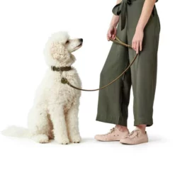 HUNTER Halsband, Gr. XS-S, Olivgrün -Günstiges Tierbedarf Geschäft unnamed file 12966