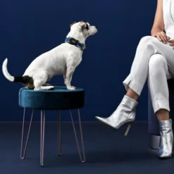 HUNTER Halsung, Gr. S-M, Blau -Günstiges Tierbedarf Geschäft unnamed file 13024