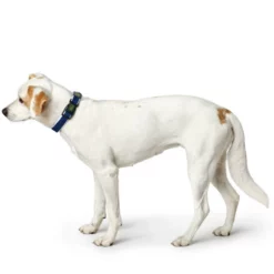 HUNTER Halsung, Gr. S-M, Blau -Günstiges Tierbedarf Geschäft unnamed file 13025