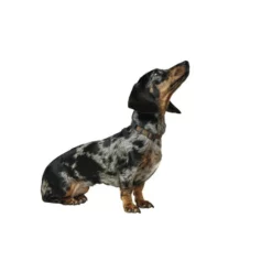 HUNTER Halsung »London«, Gr. S, Braun -Günstiges Tierbedarf Geschäft unnamed file 13058