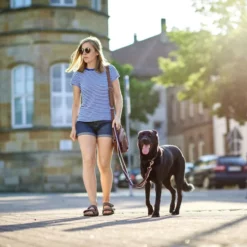 HUNTER Halsung, Gr. L, Bunt -Günstiges Tierbedarf Geschäft unnamed file 13120