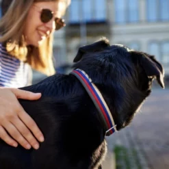 HUNTER Halsung, Gr. XL, Bunt -Günstiges Tierbedarf Geschäft unnamed file 13139