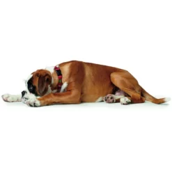 HUNTER Halsung, Gr. S, Rot -Günstiges Tierbedarf Geschäft unnamed file 13432