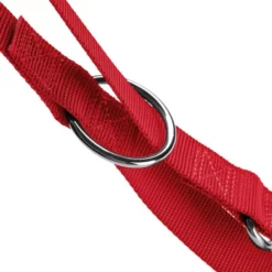 HUNTER Führleine »London«, Gr. 200 Cm, Rot -Günstiges Tierbedarf Geschäft unnamed file 13592