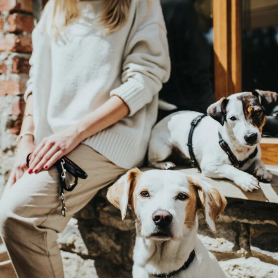 HUNTER Geschirr, S, Nylon/plastik/metalldruckguss, Schwarz 5 HUNTER Geschirr, S, Nylon/plastik/metalldruckguss, Schwarz – Bild 3