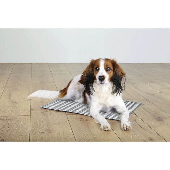 TRIXIE Hundekühlmatte, Grau/weiß 4 TRIXIE Hundekühlmatte, Grau/weiß – Bild 2