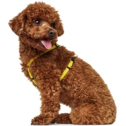 HUNTER Geschirr, XS-S, Nylon/plastik/metalldruckguss, Gelb 8 HUNTER Geschirr, XS-S, Nylon/plastik/metalldruckguss, Gelb -Günstiges Tierbedarf Geschäft unnamed file 13620