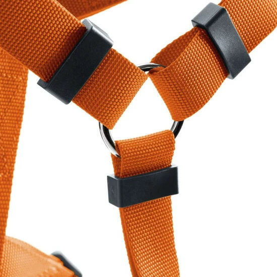 HUNTER Geschirr »London«, XXS/2, Polyester, Orange 4 HUNTER Geschirr »London«, XXS/2, Polyester, Orange – Bild 2