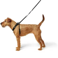 HUNTER Hunde-Geschirr, S, Nylon, Schwarz -Günstiges Tierbedarf Geschäft unnamed file 13639