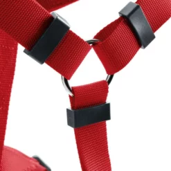 HUNTER Geschirr »London«, XXS/3, Polyester, Rot 7 HUNTER Geschirr »London«, XXS/3, Polyester, Rot -Günstiges Tierbedarf Geschäft unnamed file 13642