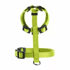 HUNTER Geschirr »London«, S, Polyester, Limettengrün 7 HUNTER Geschirr »London«, S, Polyester, Limettengrün -Günstiges Tierbedarf Geschäft unnamed file 13685