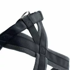 HUNTER Geschirr »London«, XS-S, Polyester, Anthrazit -Günstiges Tierbedarf Geschäft unnamed file 13733