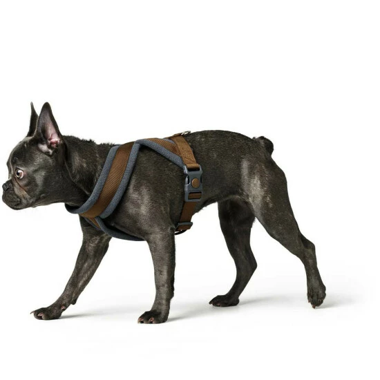 HUNTER Geschirr »London«, XS-S, Polyester, Braun 5 HUNTER Geschirr »London«, XS-S, Polyester, Braun – Bild 3