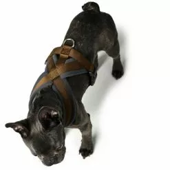 HUNTER Geschirr »London«, S-M/1, Polyester, Braun -Günstiges Tierbedarf Geschäft unnamed file 13752