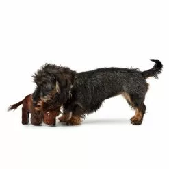 HUNTER Hundespielzeug, Mehrfarbig -Günstiges Tierbedarf Geschäft unnamed file 13787