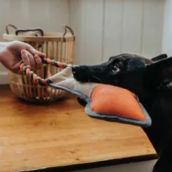 HUNTER Hundespielzeug, Mehrfarbig -Günstiges Tierbedarf Geschäft unnamed file 13809