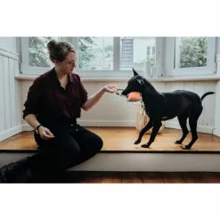 HUNTER Hundespielzeug, Mehrfarbig -Günstiges Tierbedarf Geschäft unnamed file 13810