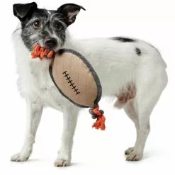 HUNTER Hundespielzeug, Mehrfarbig -Günstiges Tierbedarf Geschäft unnamed file 13822