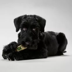 HUNTER Hundespielzeug, Mehrfarbig -Günstiges Tierbedarf Geschäft unnamed file 13866