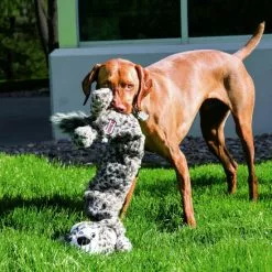 KONG® Hundespielzeug, Mehrfarbig -Günstiges Tierbedarf Geschäft unnamed file 13879