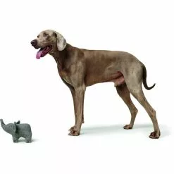 HUNTER Hundespielzeug, Mehrfarbig -Günstiges Tierbedarf Geschäft unnamed file 13881