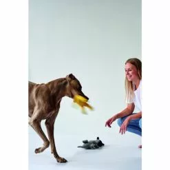 HUNTER Hundespielzeug, Mehrfarbig -Günstiges Tierbedarf Geschäft unnamed file 13884