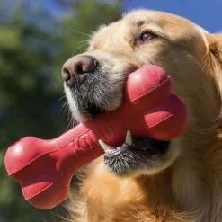 KONG® Hundespielzeug, Mehrfarbig -Günstiges Tierbedarf Geschäft unnamed file 13910