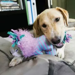 KONG® Hundespielzeug, Mehrfarbig -Günstiges Tierbedarf Geschäft unnamed file 13916