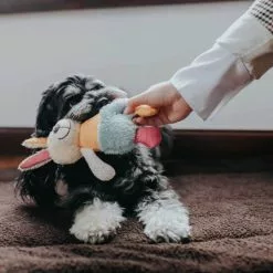 HUNTER Hundespielzeug, Mehrfarbig -Günstiges Tierbedarf Geschäft unnamed file 13939