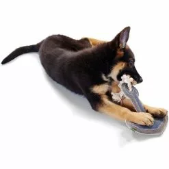 HUNTER Hundespielzeug, Mehrfarbig -Günstiges Tierbedarf Geschäft unnamed file 13971