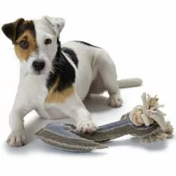 HUNTER Hundespielzeug, Mehrfarbig -Günstiges Tierbedarf Geschäft unnamed file 13972