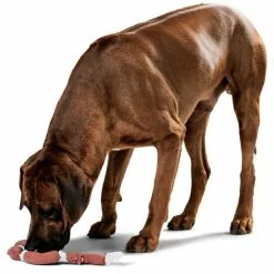 HUNTER Hundespielzeug, Mehrfarbig -Günstiges Tierbedarf Geschäft unnamed file 13985