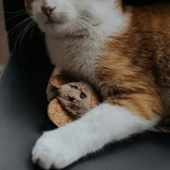 HUNTER Hundespielzeug, Mehrfarbig -Günstiges Tierbedarf Geschäft unnamed file 13991