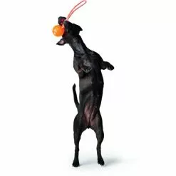 HUNTER Hundespielzeug, Mehrfarbig -Günstiges Tierbedarf Geschäft unnamed file 14014