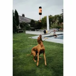 HUNTER Hundespielzeug, Mehrfarbig -Günstiges Tierbedarf Geschäft unnamed file 14017