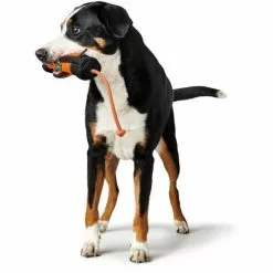 HUNTER Hundespielzeug, Mehrfarbig -Günstiges Tierbedarf Geschäft unnamed file 14020