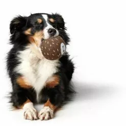 HUNTER Hundespielzeug, Mehrfarbig -Günstiges Tierbedarf Geschäft unnamed file 14023