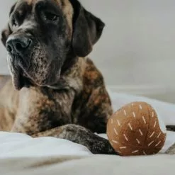 HUNTER Hundespielzeug, Mehrfarbig -Günstiges Tierbedarf Geschäft unnamed file 14025