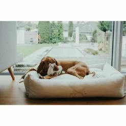 HUNTER Hundespielzeug, Mehrfarbig -Günstiges Tierbedarf Geschäft unnamed file 14035