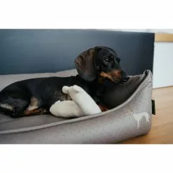 HUNTER Hundespielzeug, Mehrfarbig -Günstiges Tierbedarf Geschäft unnamed file 14036